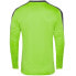 Goalkeeper jersey Zina Iluvio GK Jr 02024-215 green