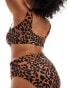 Фото #2 товара ASOS DESIGN Curve Adrienne high leg high waist bikini bottom in oversized animal