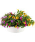 Фото #3 товара Sunny Round Hanging Planter 10 Inch White