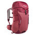 Фото #2 товара TATONKA Hike Pack 25L backpack