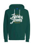 Фото #1 товара JACK & JONES List hoodie