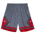 Фото #1 товара Mens Mitchell & Ness NBA SWINGMAN SHORTS - CHICAGO BULLS 1995