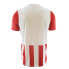 ფოტო #2 პროდუქტის UMBRO Teamwear short sleeve T-shirt