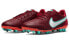 Фото #4 товара Бутсы футбольные Nike Legend 9 Academy AG красные