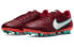 Nike Legend 9 Academy AG DB0627-616 Athletic Shoes