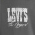 Levi´s ® Graphic Signature hoodie