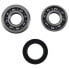 Фото #1 товара HOTRODS Honda CRF 450R 17-22/Rx 17-22/Rwe 19-22 Swingarm Bearing Kit