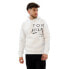 Фото #2 товара TOMMY HILFIGER MW0MW20119 hoodie