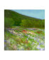Фото #1 товара Sheila Finch Flowers of Half Moon Bay II Canvas Art - 20" x 25"