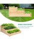 Фото #5 товара 3 Tier Wooden Raised Vegetable Garden Bed Elevated Planter Kit Outdoor Gardening