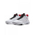 Nike Jordan shoes Max Aura 4 M DN3687-160