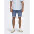 Фото #1 товара ONLY & SONS Ply 7644 shorts