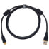 Фото #1 товара UDG Ultimate Cable USB 3.0 C-A BL