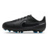 Фото #1 товара Nike JR Legend 9 Academy Fgmg