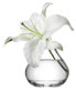 Фото #2 товара Flower Sprig Vase, klar