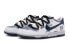 【定制球鞋】 Nike Dunk Low 霜降节气系列 手绘喷绘 解构 新中式 特殊鞋盒 低帮 板鞋 GS 黑白 / Кроссовки Nike Dunk Low DX1663-400