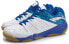 LiNing 19V2 AYTP017-1 Badminton Sneakers