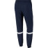 Фото #2 товара NIKE Dri Fit Academy Track pants