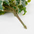 Фото #7 товара Kunstliche Hängepflanze Efeu