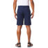 Фото #4 товара COLUMBIA Washed Out™ Shorts