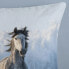 Фото #4 товара Biber-Bettwäsche Snowhorses