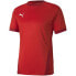 Фото #1 товара Puma teamGOAL 23 Jersey M 704171 01