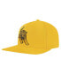 Men's Gold Tuskegee Golden Tigers Evergreen Mascot Snapback Hat