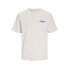 JACK & JONES Noto Artsy short sleeve T-shirt