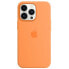 APPLE iPhone 13 Pro Cover