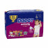 Disposable nappies Dodot Activity 6 +13 kg (36 Units)