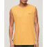 Фото #1 товара SUPERDRY Essential Logo Ub sleeveless T-shirt