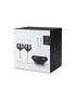 Raye Bordeaux Wine Glasses & Decanter, Set of 3