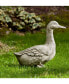 Фото #2 товара Статуэтка для сада утки Campania International quackers