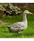 Фото #2 товара Quackers Garden Statue