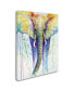 Фото #2 товара Michelle Faber 'Elephant Colors' Canvas Art - 24" x 18" x 2"