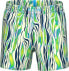 Arena Męskie Szorty MEN'S ARENA WATER PRINTS BEACH SHORT AO