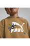 Фото #5 товара Толстовка женская PUMA SMALL WORLD Prime Hoodie TR Desert Tan