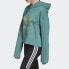 Adidas Originals Trendy Clothing Hoodie FM2649