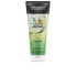 John Frieda Detox &amp Repair Shampoo