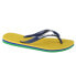 Фото #1 товара Шлепанцы мужские Havaianas Brasil