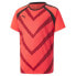 PUMA Teamliga Graphic short sleeve T-shirt