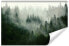 Фото #1 товара Fototapete Wald im Nebel Landschaft 3D