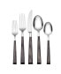 Coronado Charcoal 5 Piece Everyday Flatware Place Setting, Service For 1