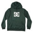 DC SHOES Snowstar Hoodie