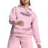 Фото #1 товара Puma Essentials+ Animal Pullover Hoodie Womens Pink Casual Outerwear 68149248