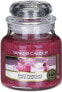 Фото #2 товара Duftkerze Sweet Plum Sake - Yankee Candle Sweet Plum Sake 104 g