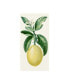 Фото #1 товара Turpin Turpin Fruit I Canvas Art - 15" x 20"