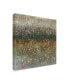 Фото #2 товара Danhui Nai Abstract Rain Canvas Art - 15.5" x 21"