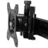 Фото #8 товара StarTech.com Dual-Monitor Stand - Horizontal - Black - Freestanding - 8 kg - 61 cm (24") - 100 x 100 mm - Height adjustment - Black
