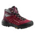 Фото #1 товара ZAMBERLAN 334 Circe Goretex boots